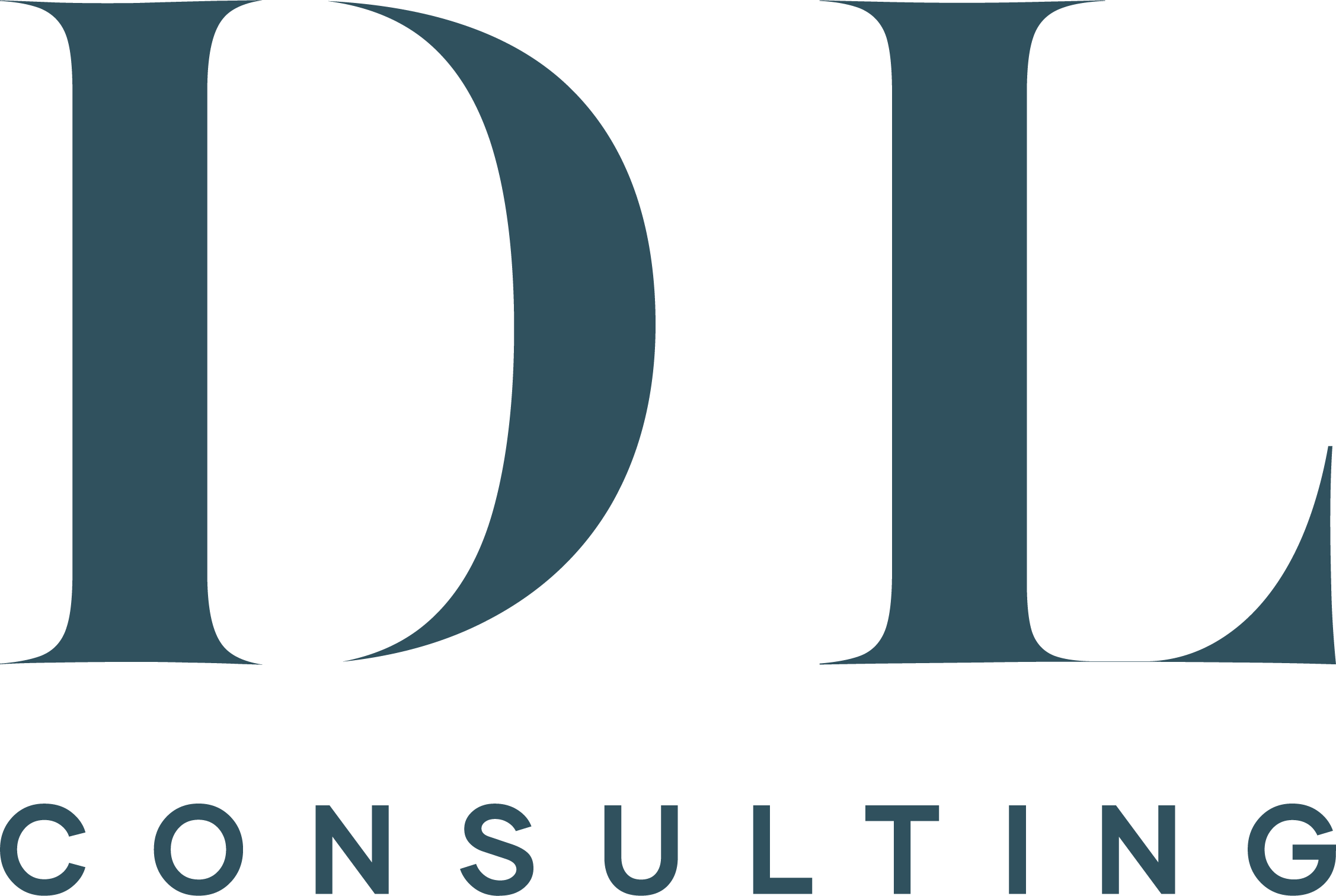 DL Consulting
